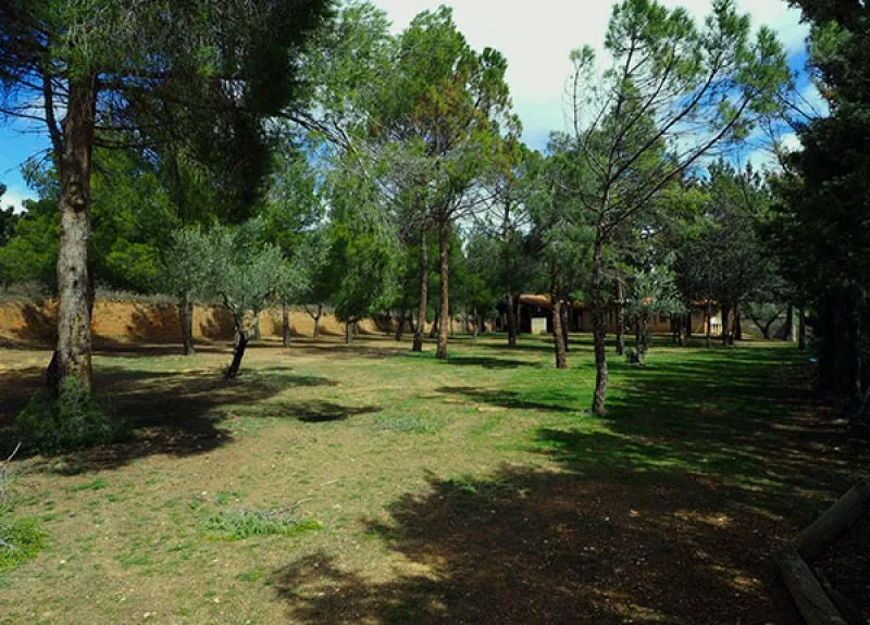 Campamentos Campamento Santa María del Olivar
