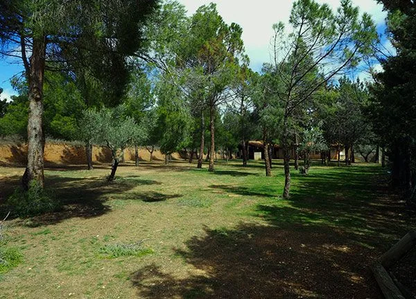 Servicios y actividades Campamentos